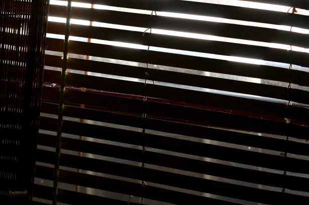Blinds-Photography-SwittersB