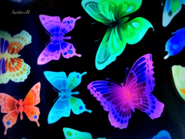 butterfly-decals-life-happy-SwittersB-photography