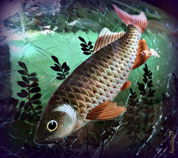 fish--vase-art-asian-photography-SwittersB