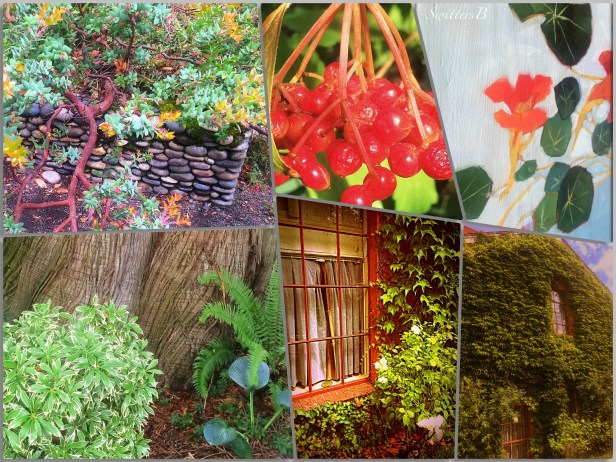 garden-photography-edgefield-SwittersB