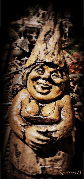 gnome-garden-yard art-photography-SwittersB