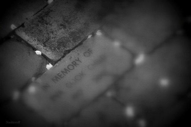 memory-brick-death-photography-SwittersB