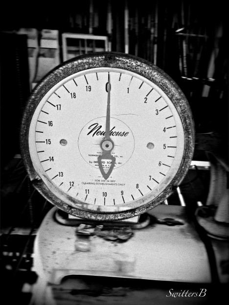 old scale-photography-SwittersB