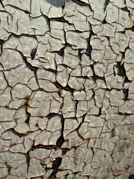 peeling-paint-photography-SwittersB