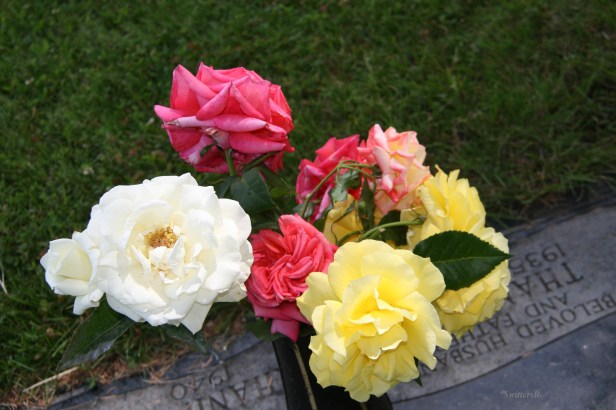 roses-flowers-cemetery-photography-SwittersB