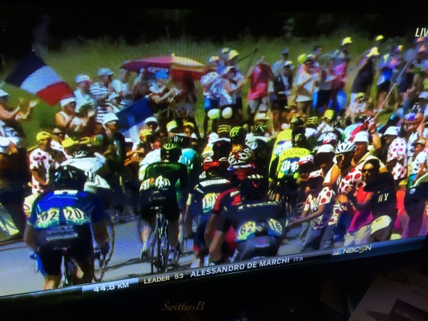 tour de france-televised-Switters