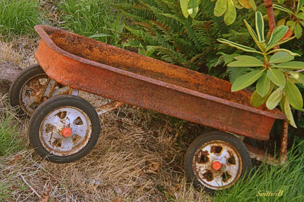 wagon-radio flyer-rust-photography-SwittersB