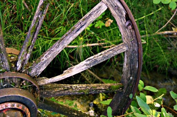 wagon wheel-photograhy-SwittersB-spokes