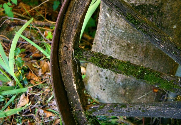wagon wheel-spokes-photography-SwittersB