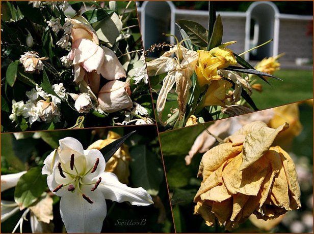 wilt-flowers-cemetery-photography-SwittersB