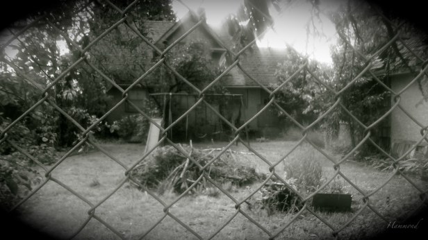 a backyard-memories-Hammond-photography-SwittersB