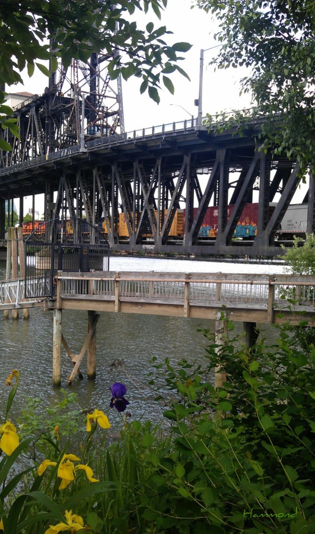 a=bridge -train dock photography Hammond SwittersB flowers