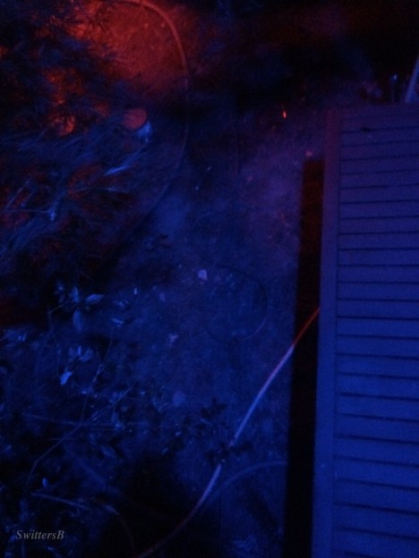 blue light, yard, lighting, photography-SwittersB