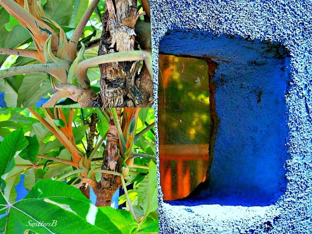 blue wall-palm-photography-SwittersB
