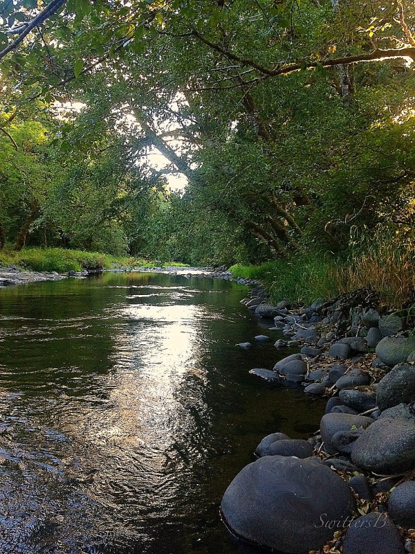 downstream--oregon-evening-photography-SwittersB