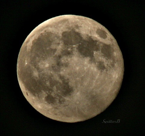 full moon-August 10 14-photography-smokey-SwittesB