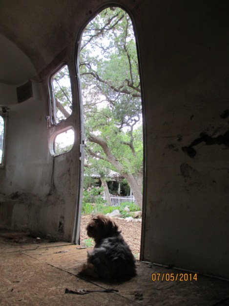 Ponyo already making herself at home!