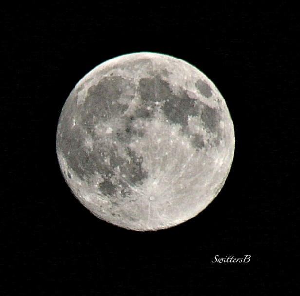 moon-August 9 2014-photography-nature-SwittersB