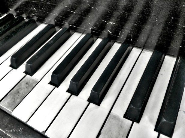 piano-keyboard-keys-photography-SwittersB