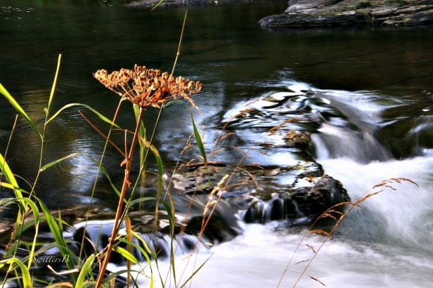 river-rapids-photography-oregon-streamside-swittersb