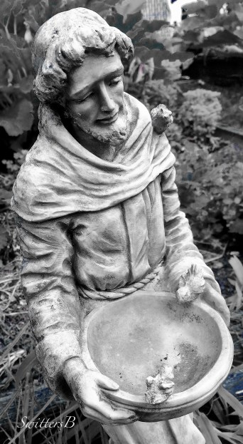 St. Francis-yard art-gardening-photography-SwittersB