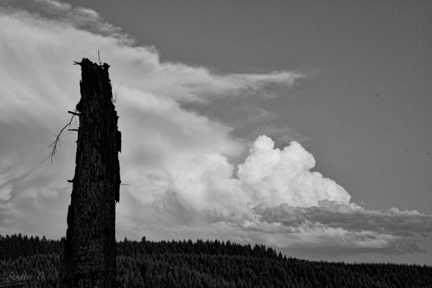 storm clouds-outdoors-mountains-snag-photography-SwittersB