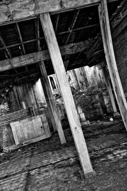 underneath-hidden-dark-photography-SwittersB