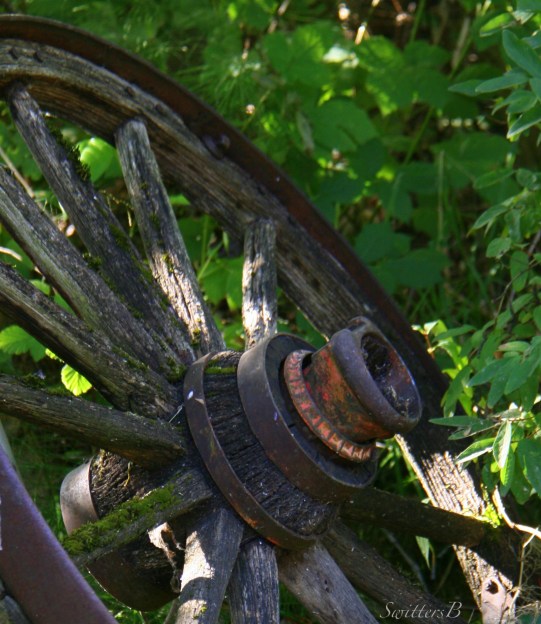 wagon wheel-hub-spokes-photography-SwittersB