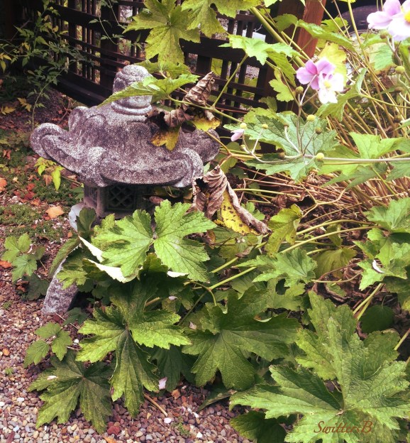 anemone-yard art-flowers-asian-garden