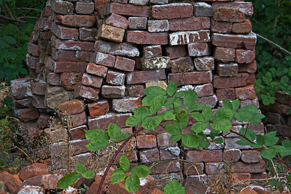 brick stack-old bricks-photography-briar-photography-SwittersB