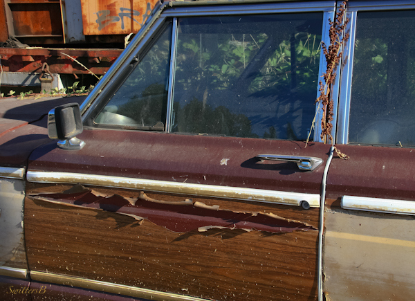 car door-peeling paint-abandoned-photography-SwittersB