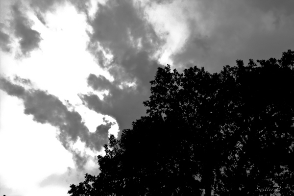 clouds-looking up-contrast-life-dark clouds-photoraphy-SwittersB