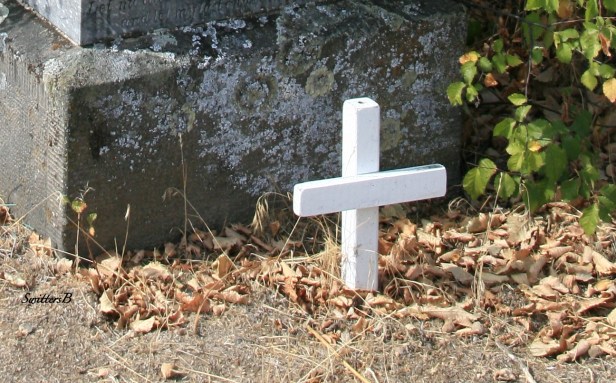 grave-afterthought-Pioneer Cemetery-Oregon-SwittersB