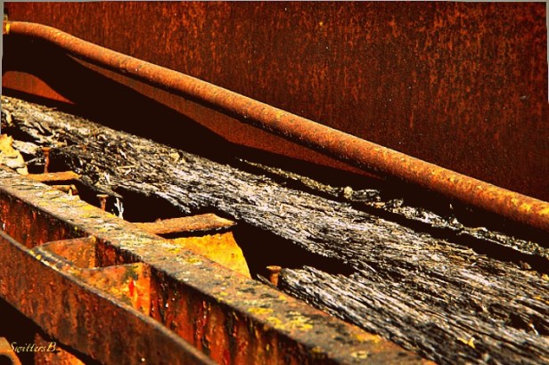 old running board-photography-equipment-SwittersB