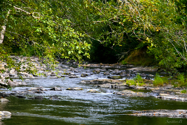 river-Oregon-coast-photography-SwittersB