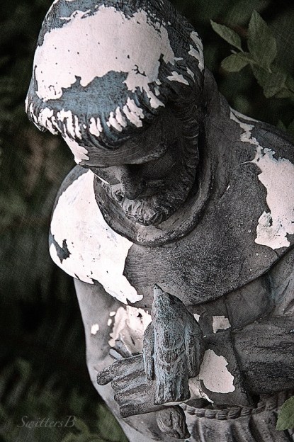 st francis-yard art-saint-patron saint-photography-SwittersB