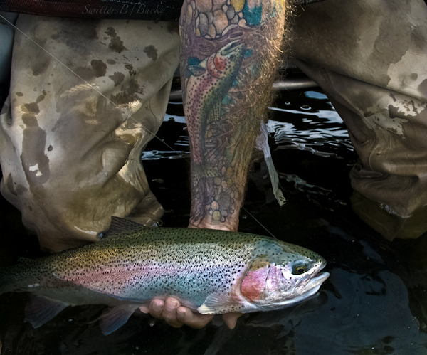 trout--tattoo-copycat-photography-fly fishing-SwittersB