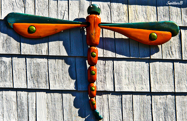 art-wood-dragon fly-Siletz-Oregon-Coast-photography-Switters