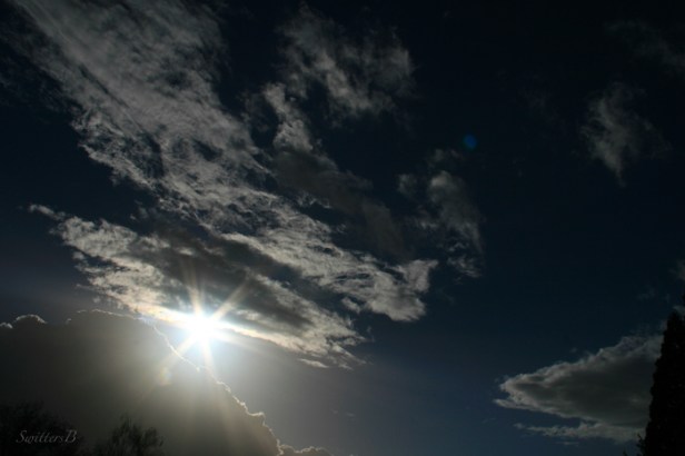 bright light-sun-sunset-photography-Switters