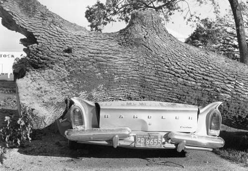 Columbus Day 1 docudharma