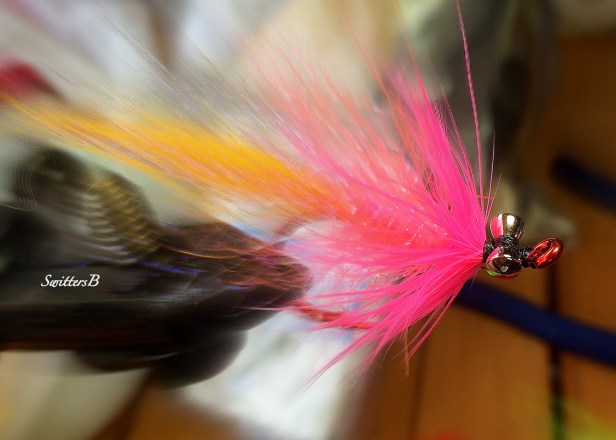 Comet-Fly Tying-Fly Pattern-SwittersB-Photography