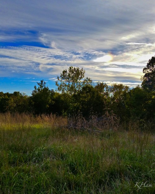 countryside-field-SwittersB-KHam-Missouri