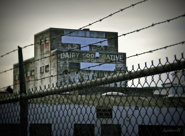 Dairy Cooperative Assoc Bldg SwittersB Portland