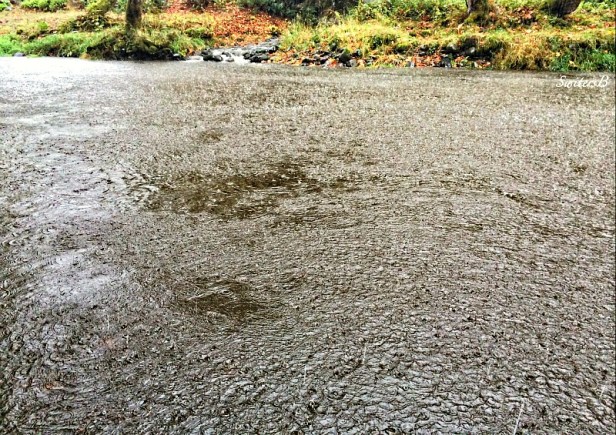 downpour-texture-photography-Switters