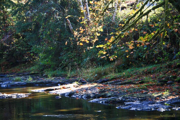 Fall-Oregon-River-SwittersB
