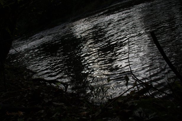 first light-river-fishing-Oregon-SwittersB