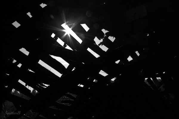 holes in the roof-swittersb-photography-Oregon-SwittersB