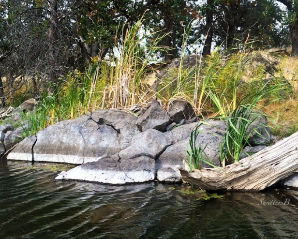 levels-water lines-nature-lake-Oregon-photography-SwittersB