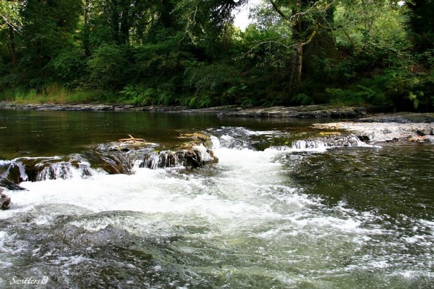 lower shelf-SwittersB