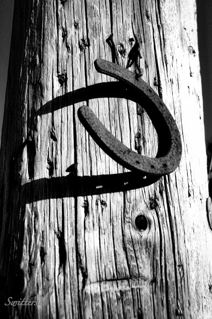 luck-horseshoe-life-photography-SwittersB